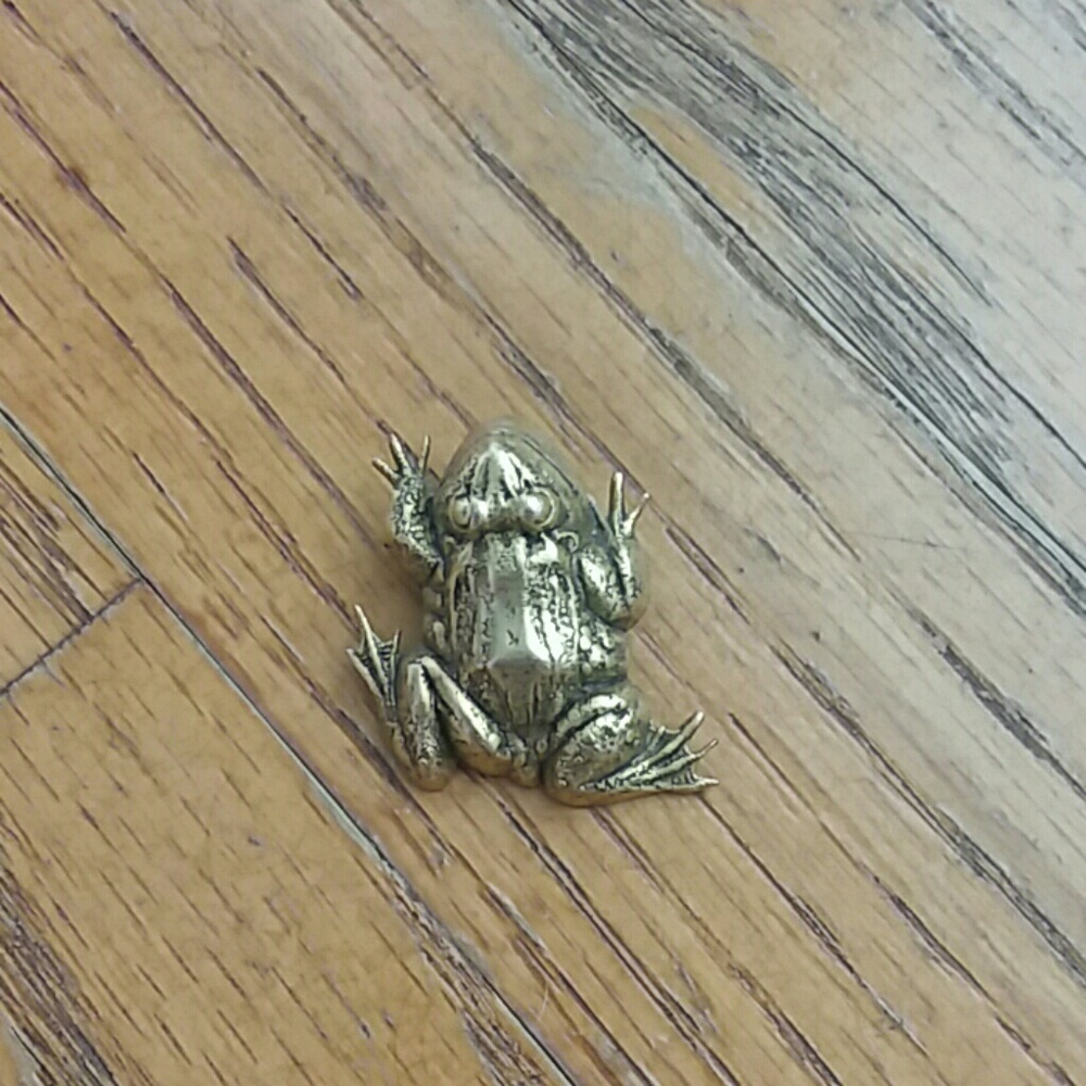 Frog Pin